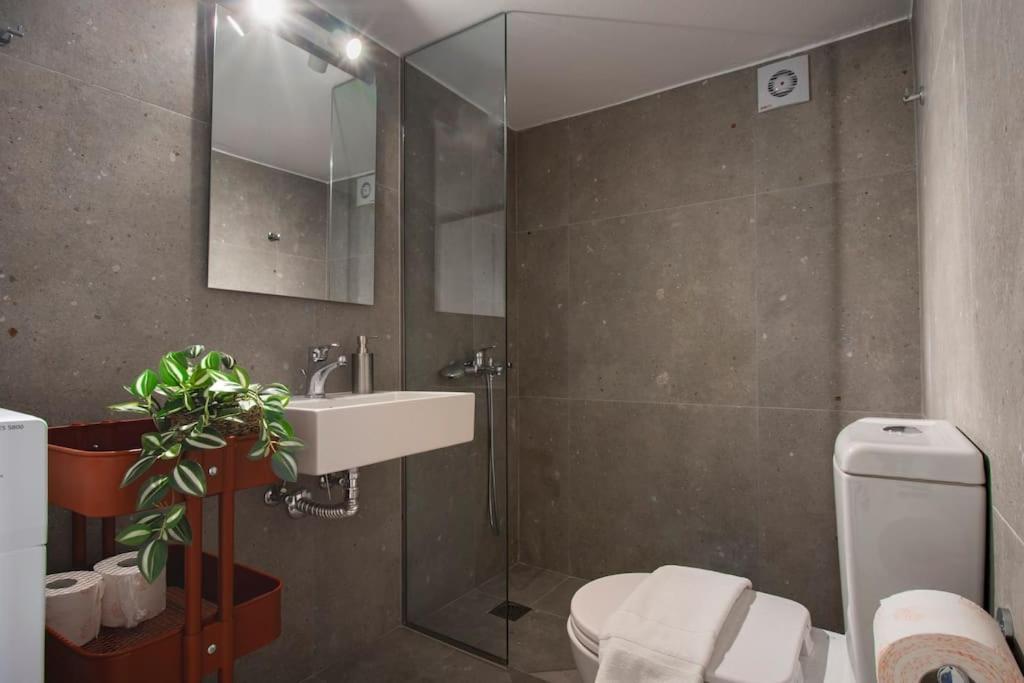 Studio Divine Near City Centre Bendevis Экстерьер фото